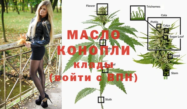 дмт Богданович