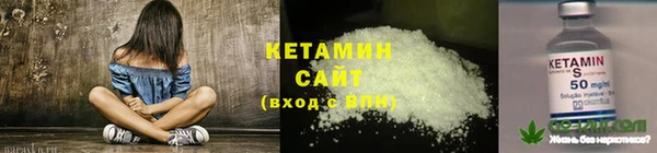 дмт Богданович
