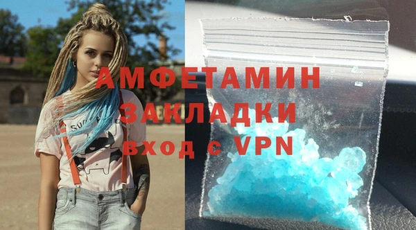 дмт Богданович