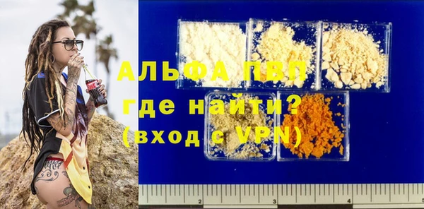 дмт Богданович