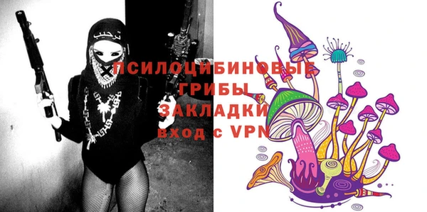 прущий лед Богородск