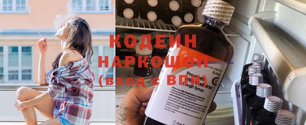 дмт Богданович