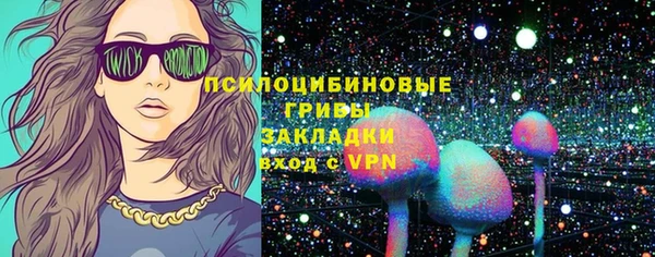 дмт Богданович